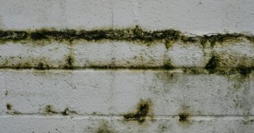 Waarom ontstaat stank uit de kruipruimte en welke oorzaken spelen een rol? Dat en meer vertellen we je in dit blog.