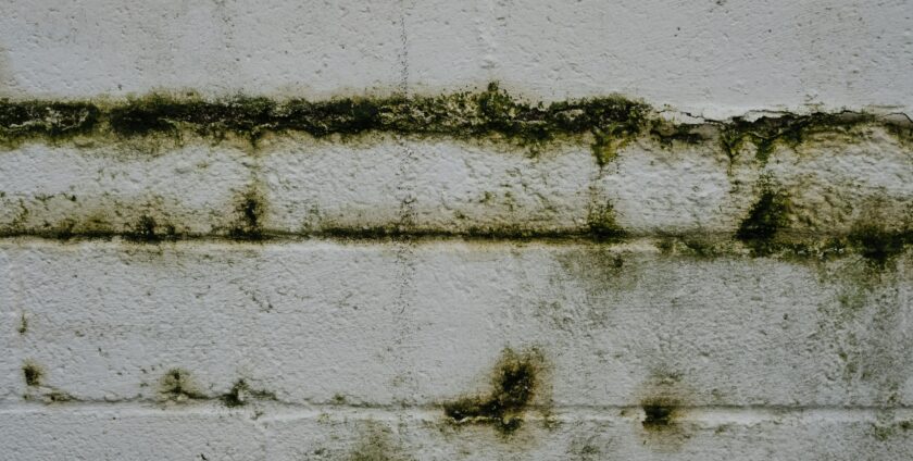 Waarom ontstaat stank uit de kruipruimte en welke oorzaken spelen een rol? Dat en meer vertellen we je in dit blog.